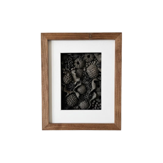 Black Porcelain Coral - מאיה אבישי