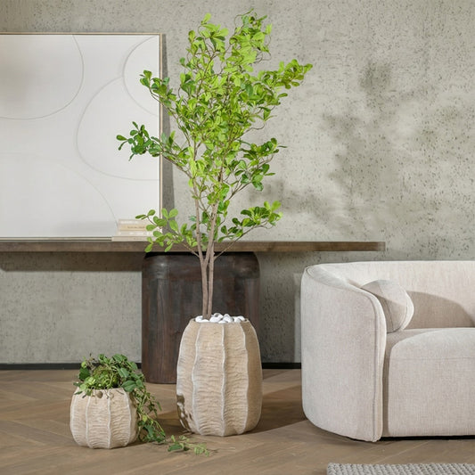 עציץ בוטניקה אייבורי