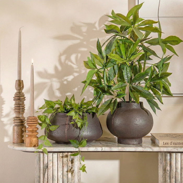 עציץ בוטניקה בראון