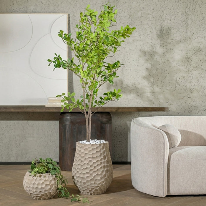 עציץ בוטניקה אייבורי