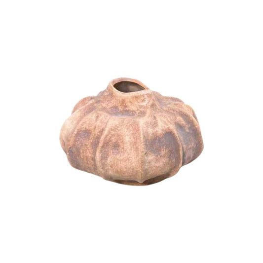 ואזה לואיז ראסט