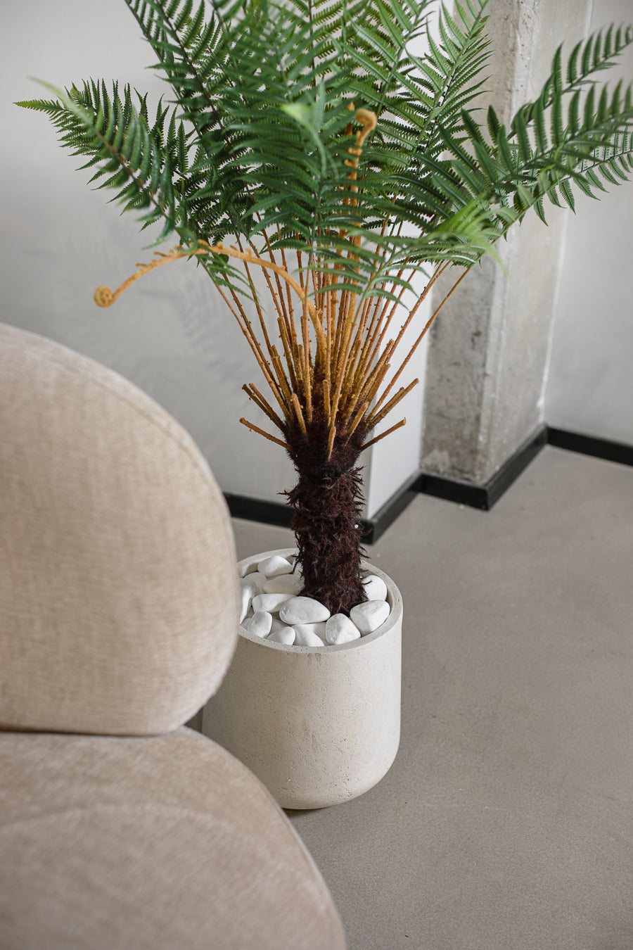 חלוקי נחל- מארז