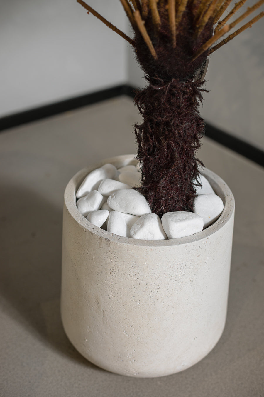 חלוקי נחל- מארז