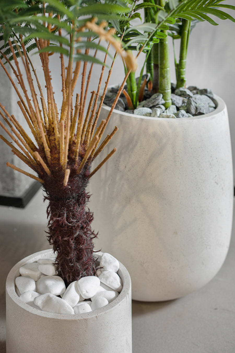 חלוקי נחל- מארז