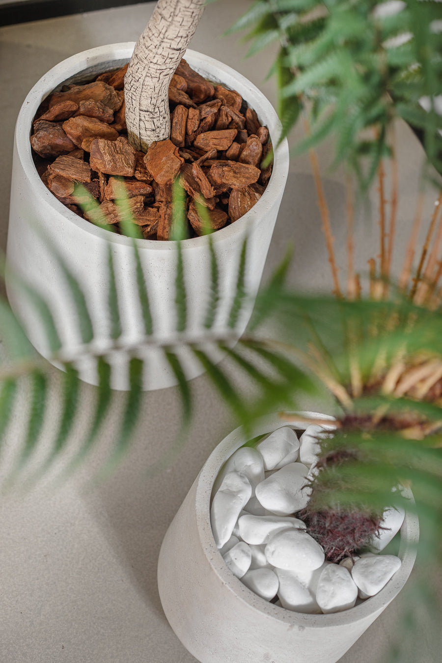 חלוקי נחל- מארז