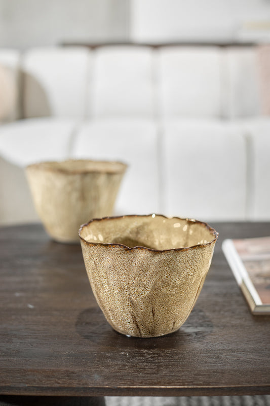 בול נאוטילוס קינמון L