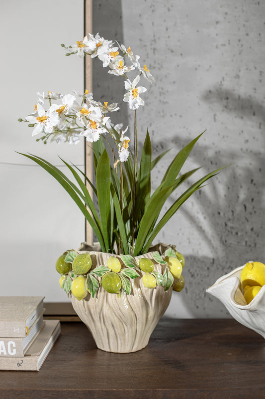 סוייל ספיידר אורכיד ווייט L