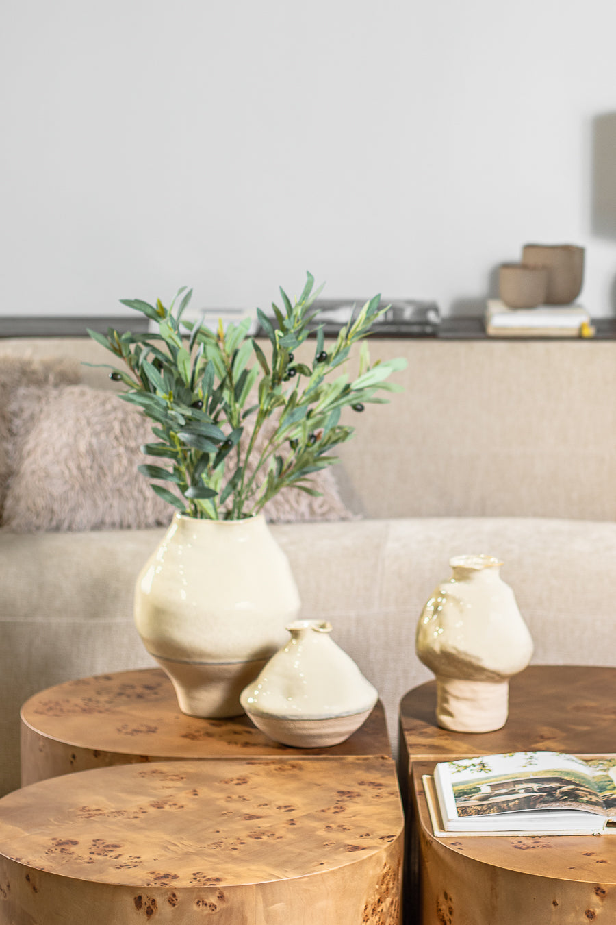 ענף אוליבה גרין