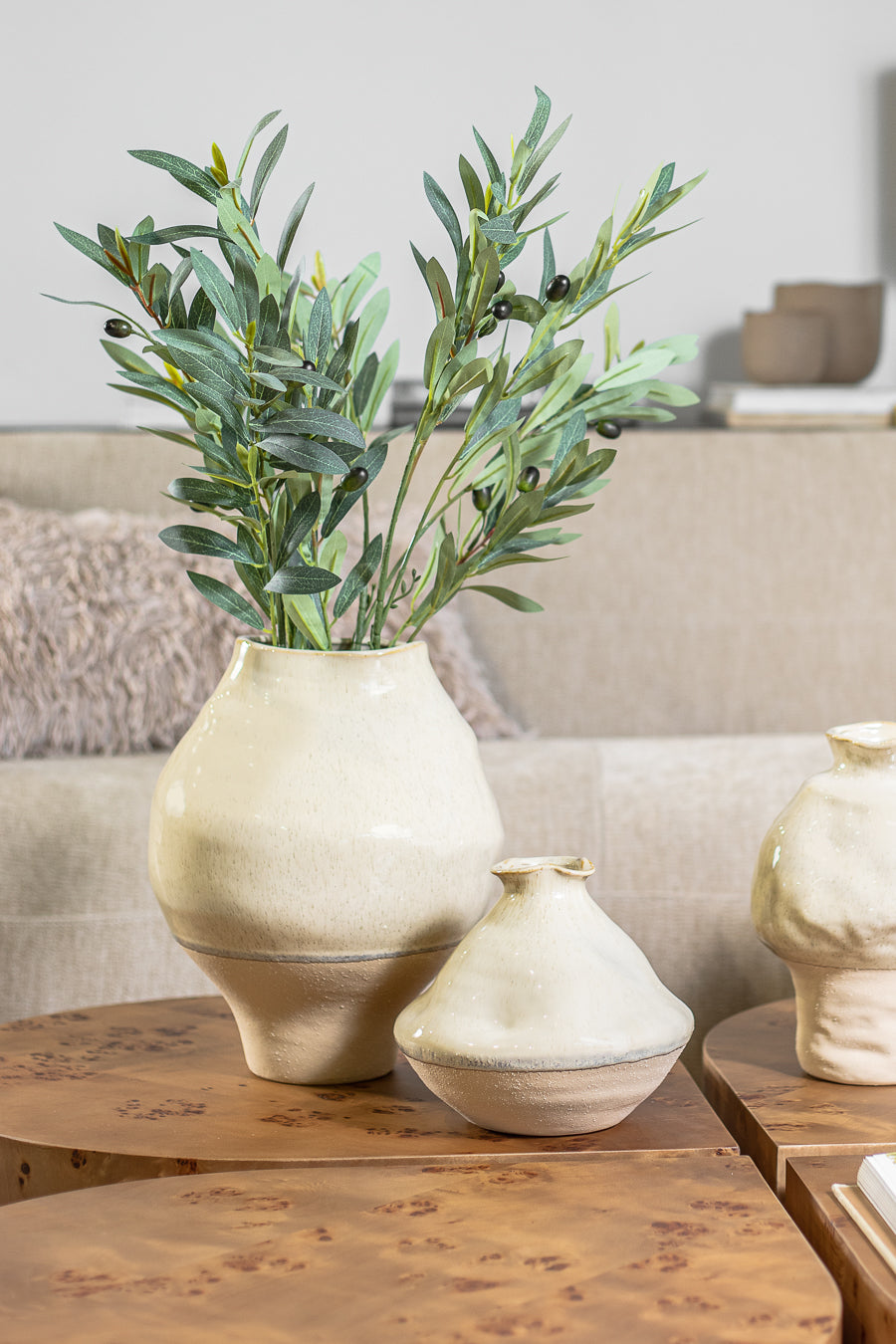 ענף אוליבה גרין