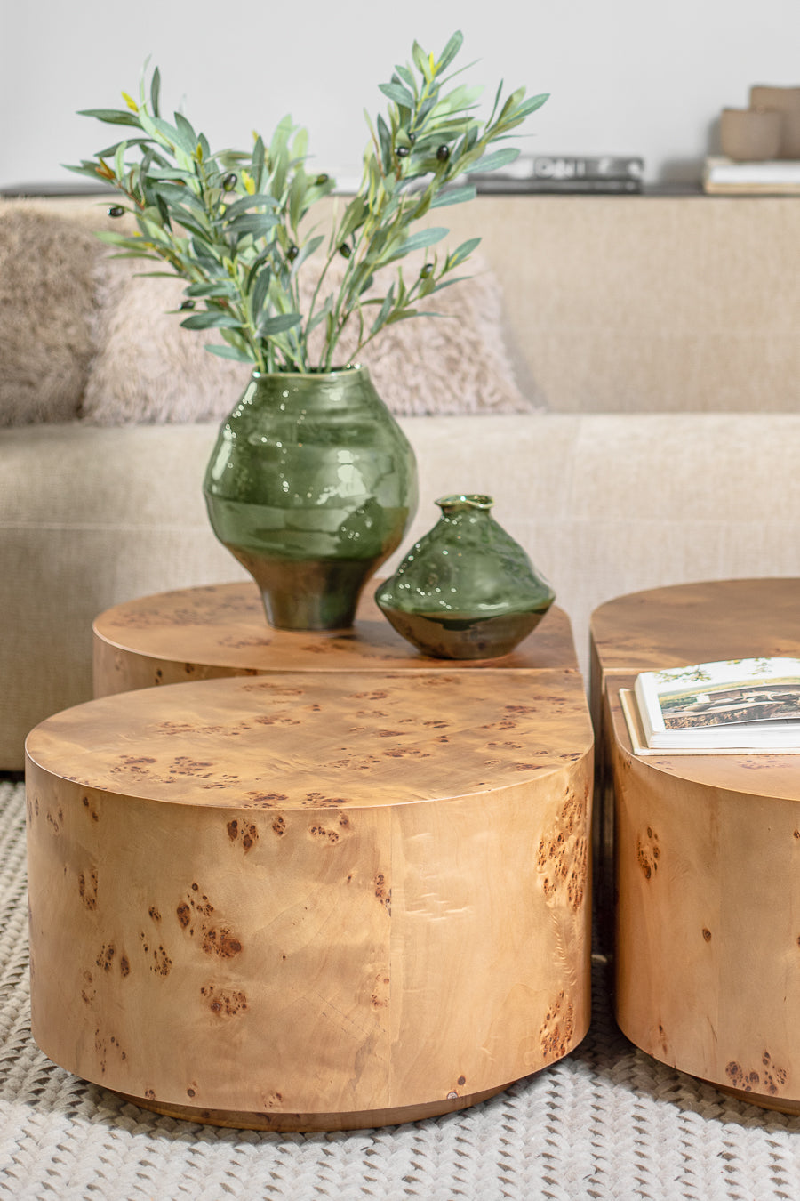 ענף אוליבה גרין