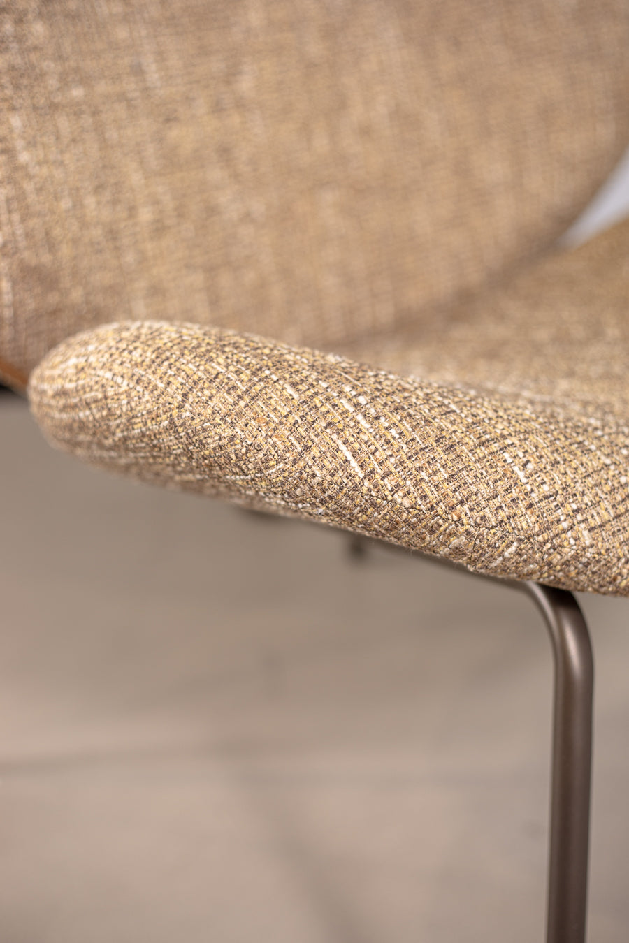 לאונג' צ'ייר לייזי מדיסון טופי