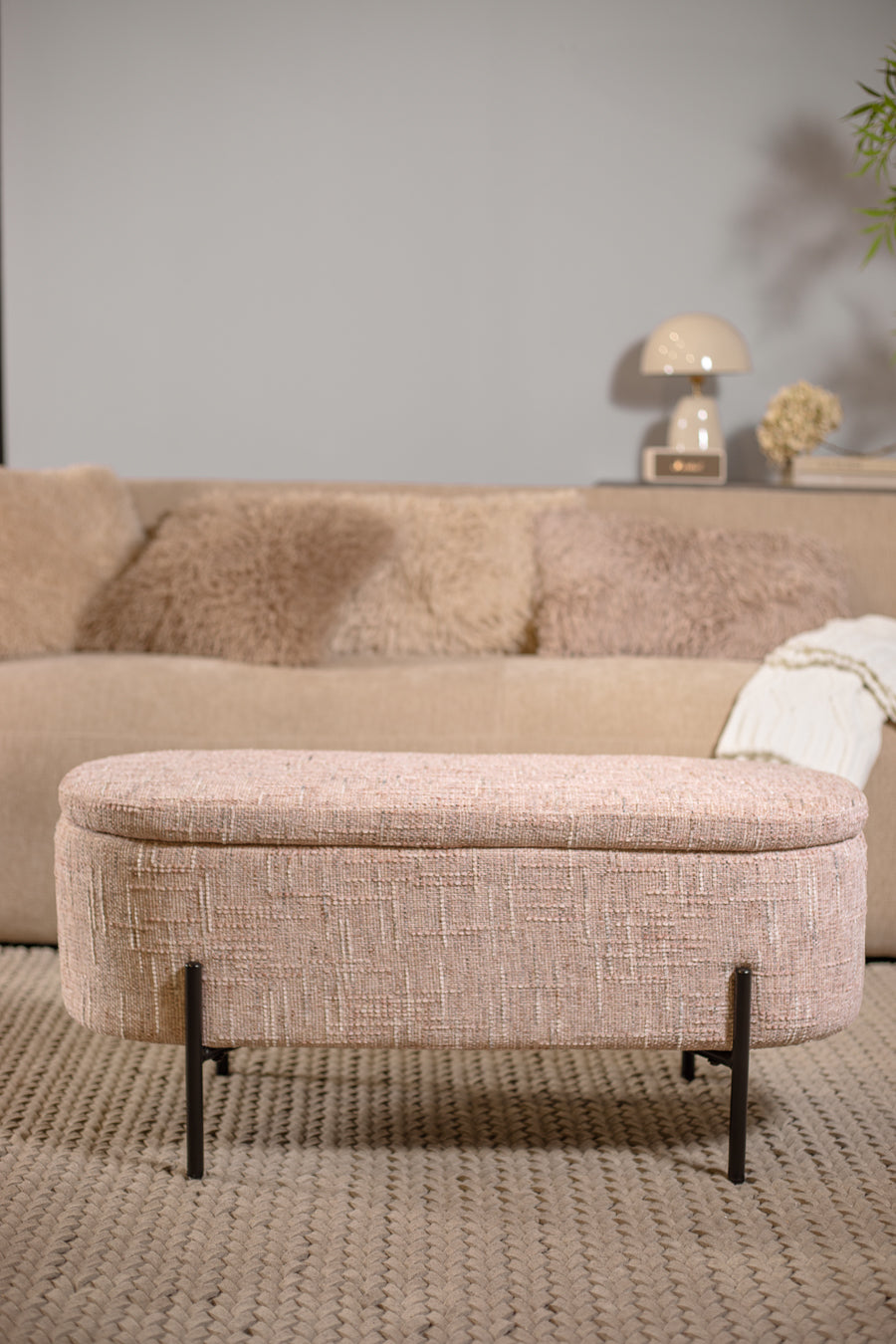 סטול איחסון לוקה פודרה