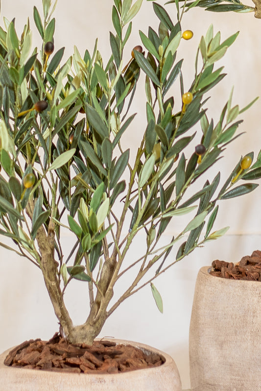 עציץ אוליב UV טרי 93 ס"מ