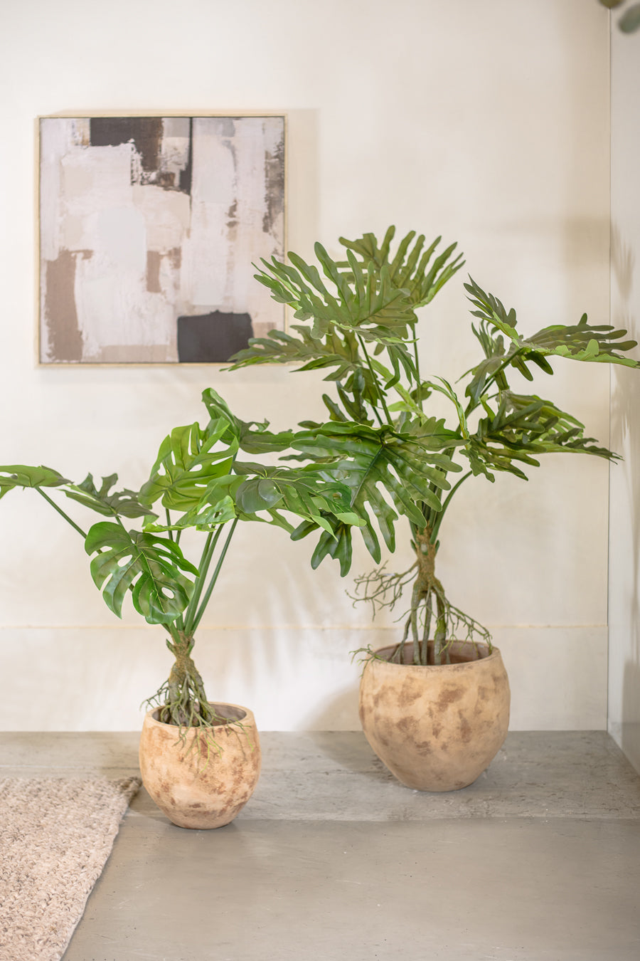 עציץ מונסטרה 80 ס"מ