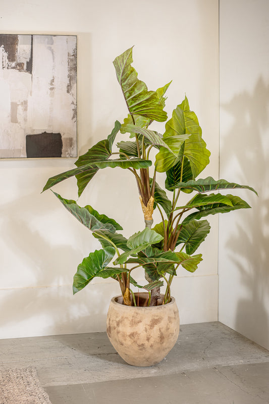 עציץ טרופיקל 150 ס"מ