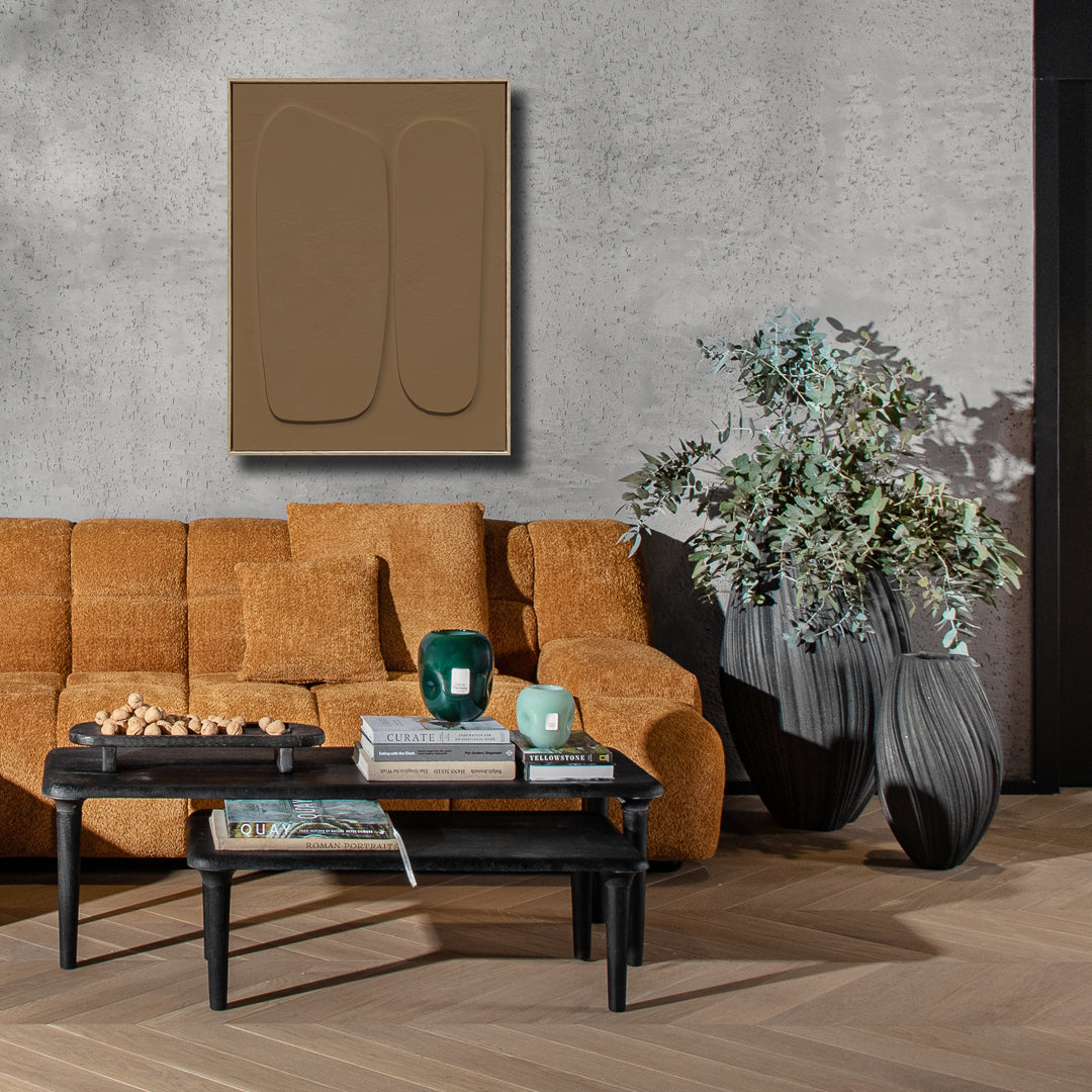 תמונה אליפס בראון