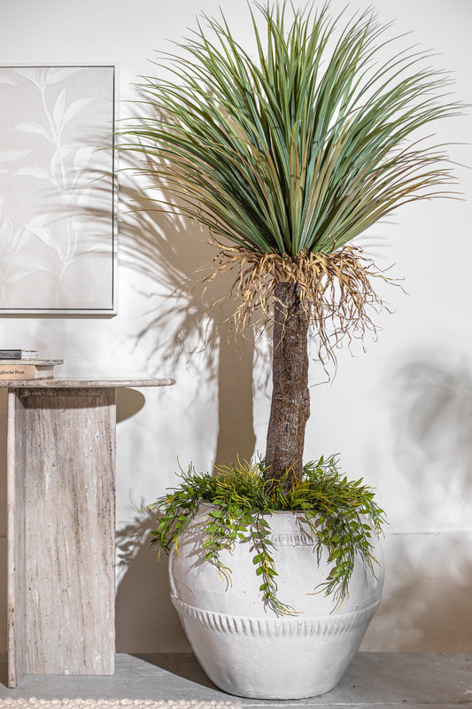 עציץ אגבה 123 ס"מ