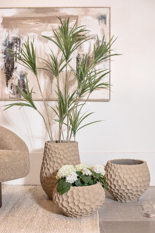 עציץ בוטניקה אייבורי