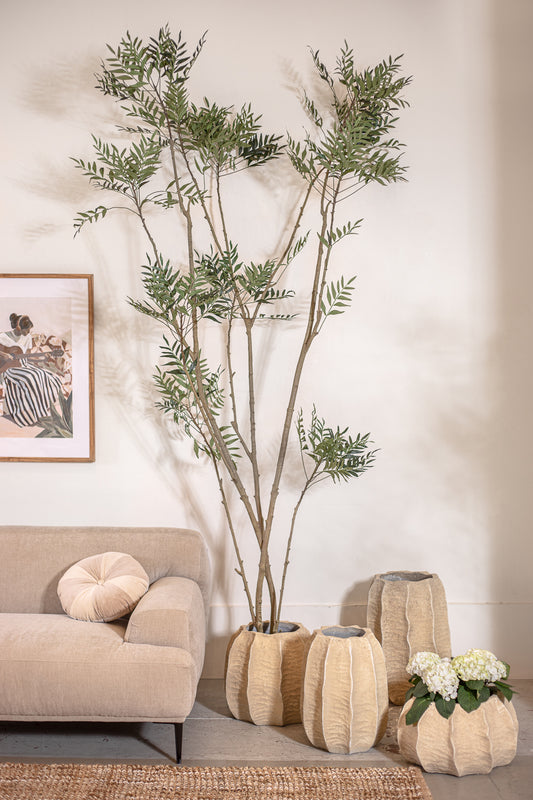 עץ עד דרגון 210 ס"מ