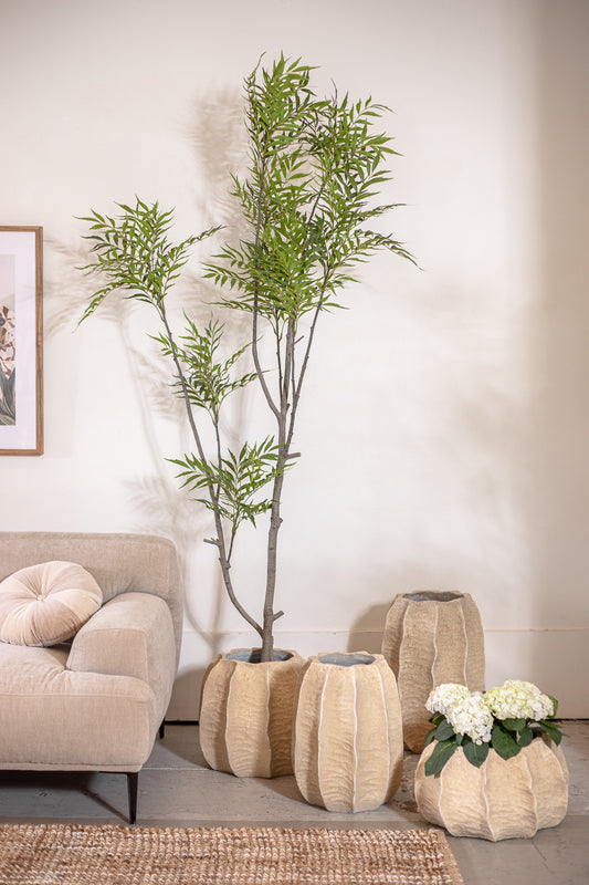 עציץ בוטניקה אייבורי