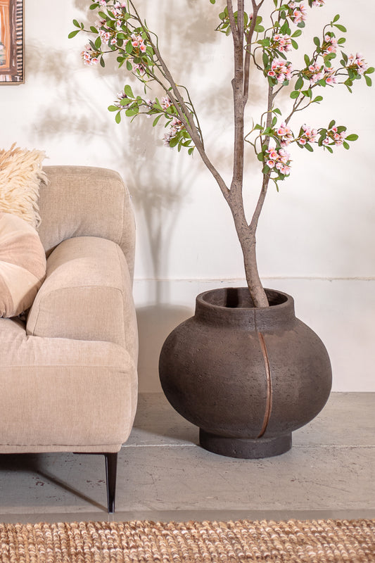 עציץ בוטניקה בראון