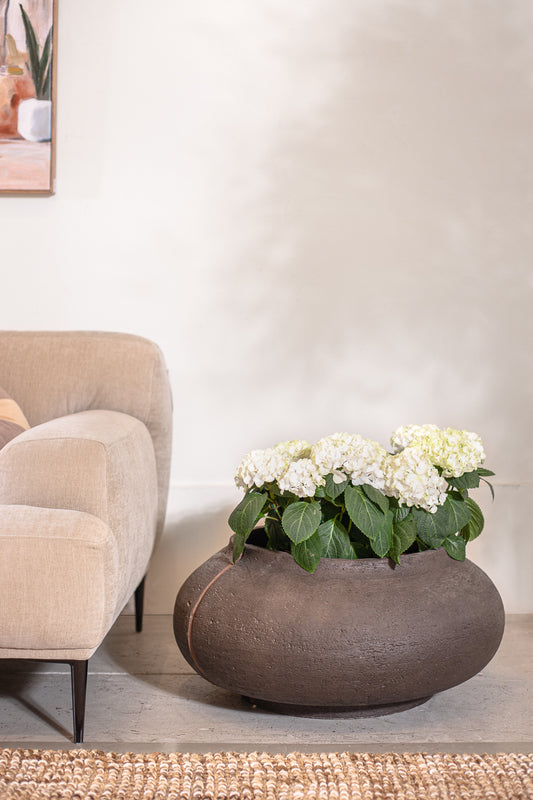 עציץ בוטניקה בראון M