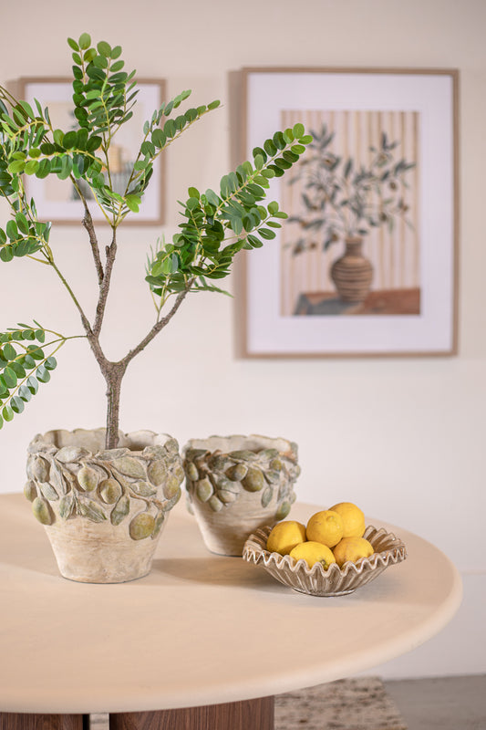 פלנטר אמאלפי S