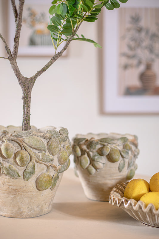 פלנטר אמאלפי M