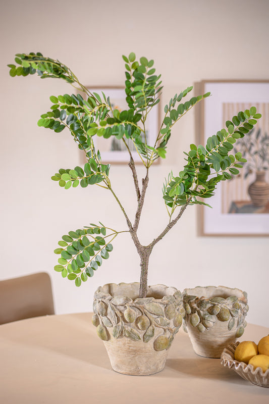 פלנטר אמאלפי L