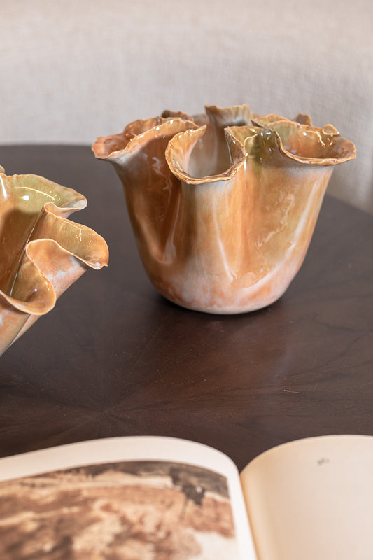 ואזה מונסון בראון