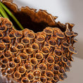 Waza Deep Brown