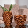 Waza Deep Brown