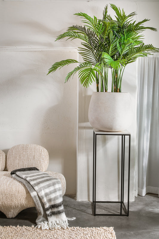 עציץ פאלם טרי 120 ס"מ