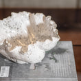 Ocean White Bowl