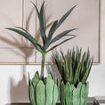 Planter Leaves