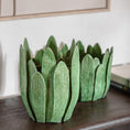 Planter Leaves