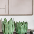 Planter Leaves