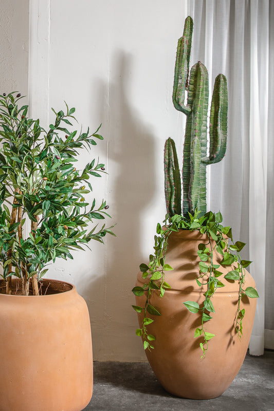 עציץ סהרה קלאיי