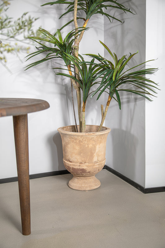 עציץ אואזיס טרקוטה M