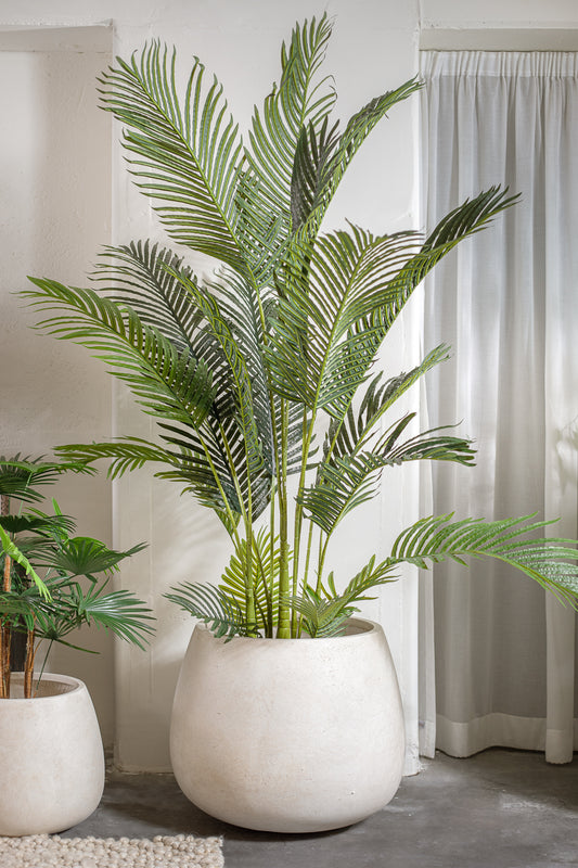 פלנטר בריסל ווייט L