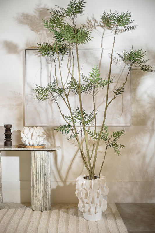 ג'אנגל טרי 240 ס"מ