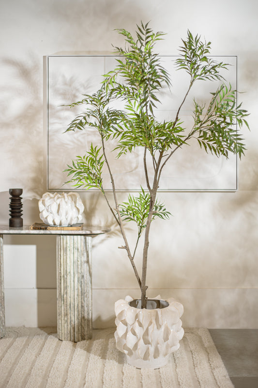 ג'אנגל טרי 210 ס"מ