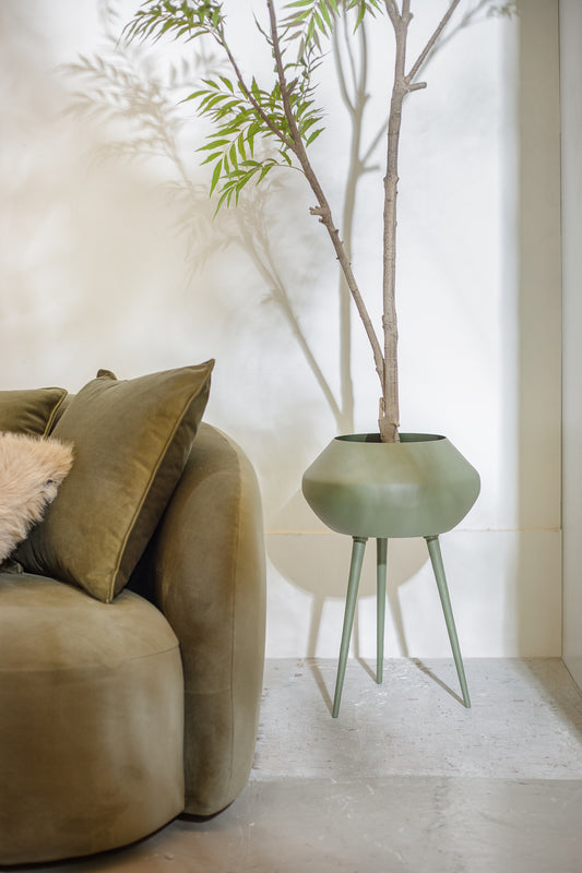 פלנטר אייקון גרין