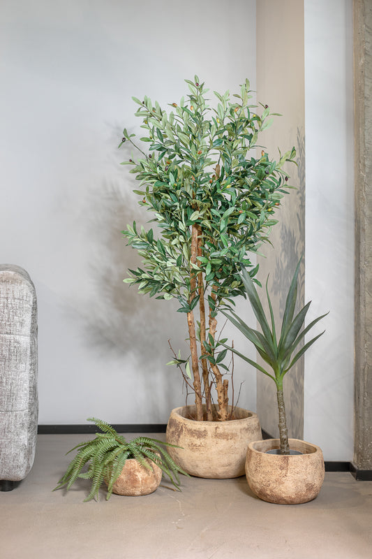 פלנטר נבאדה סנד S