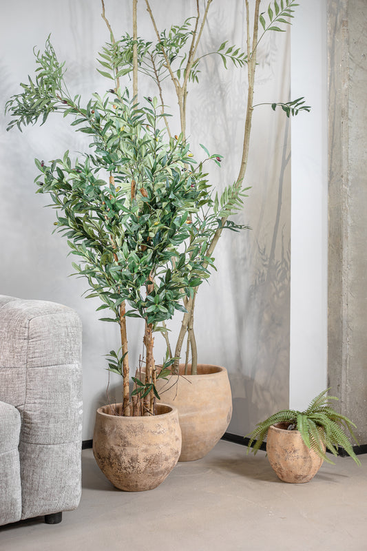 פלנטר נבאדה ראונד סנד S