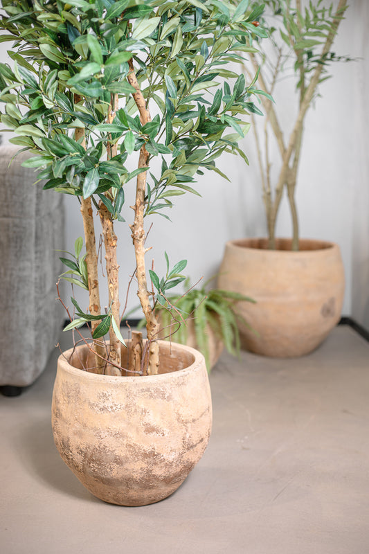 פלנטר נבאדה ראונד סנד L