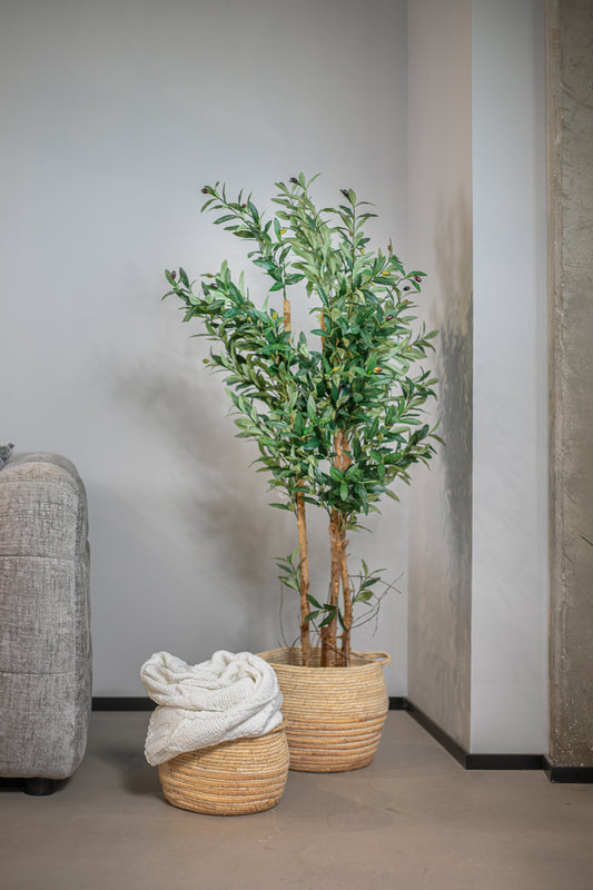 סל ריזורט ראונד S