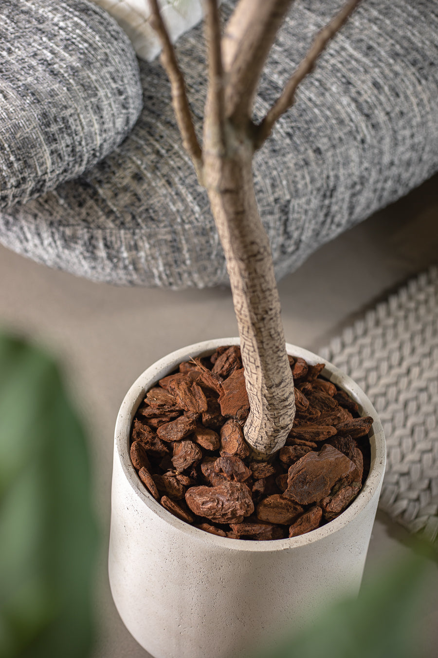 שבבי עץ - מארז