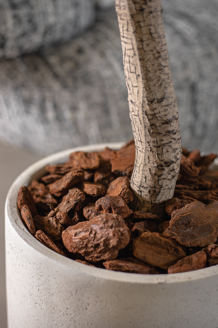 שבבי עץ - מארז