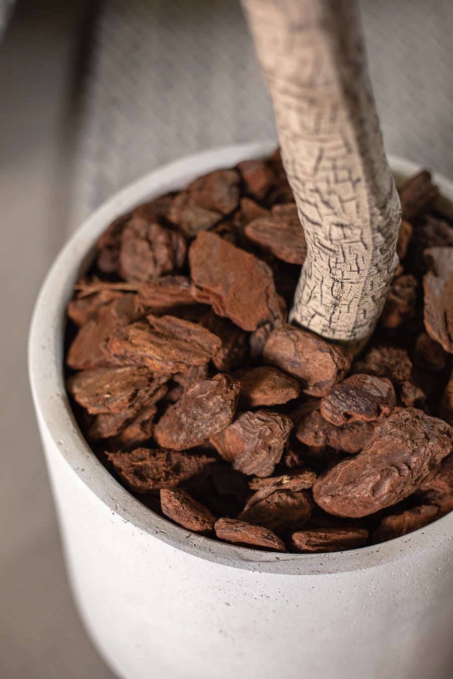 שבבי עץ - מארז